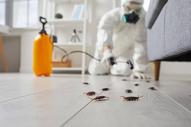 Trusted Bed Bug Control service in Wahpeton, ND - Nex Pest Control